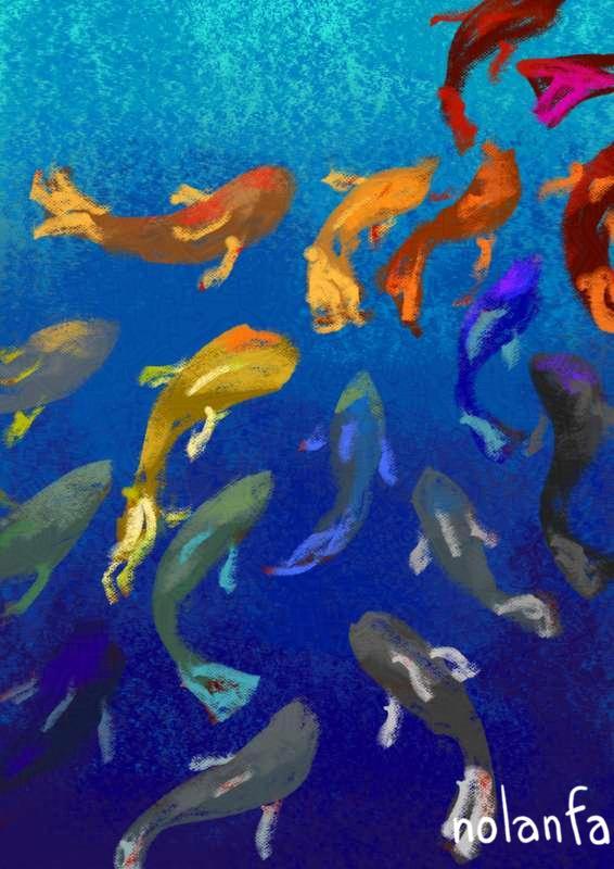 fish: all