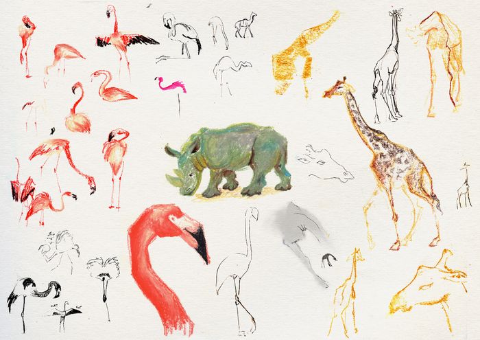savannah animals