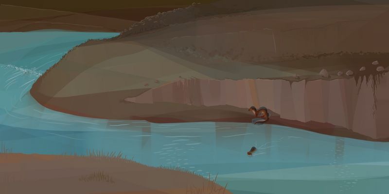 river (poiloutres)
