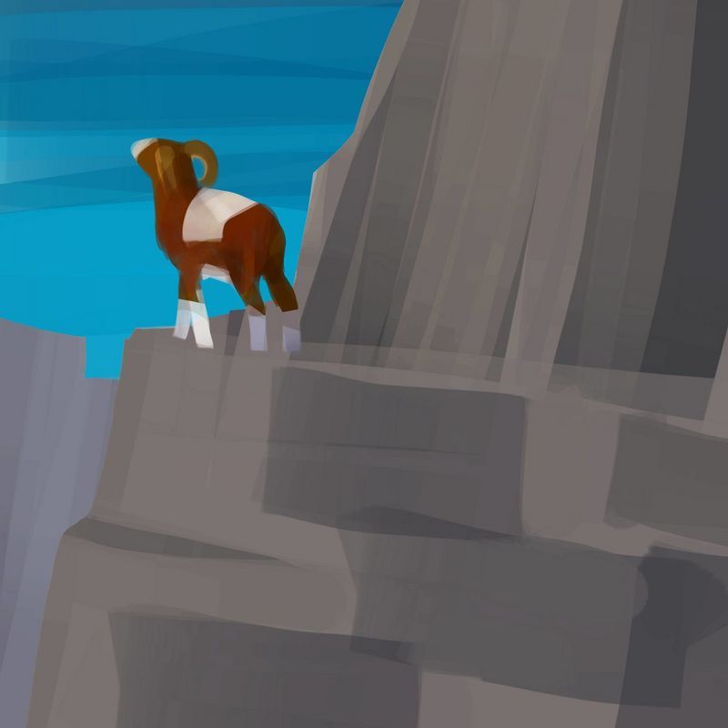 mouflon