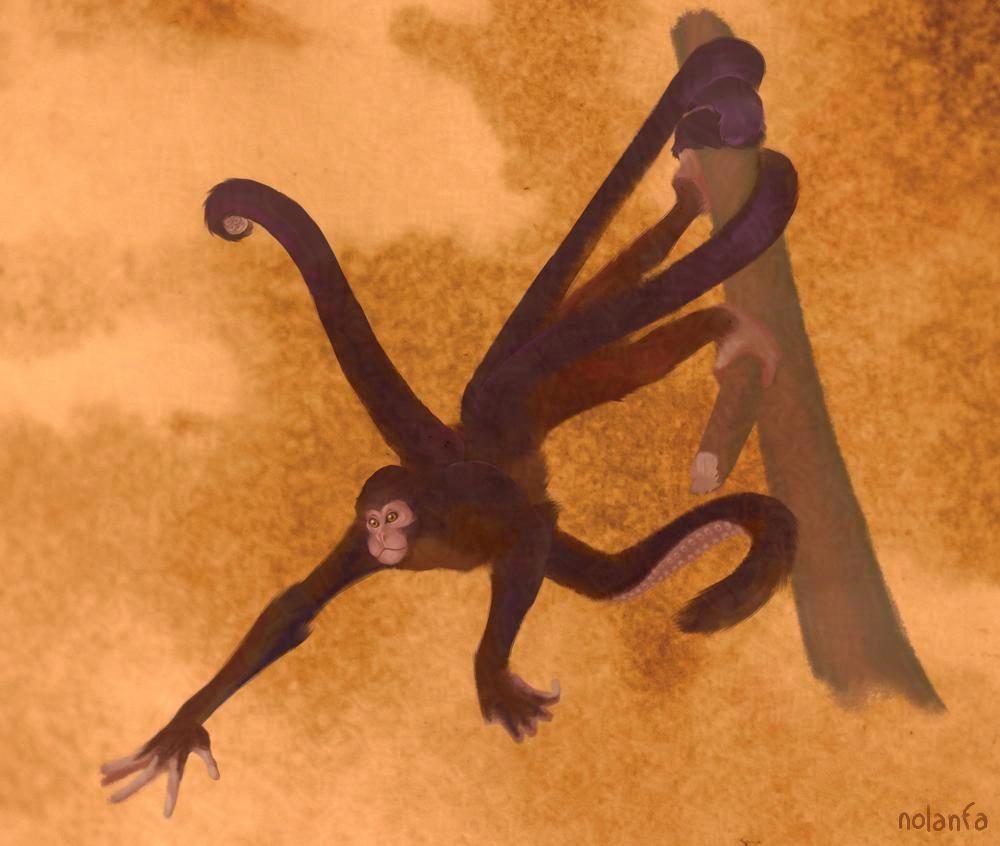 chimerae: octonkey painterly
