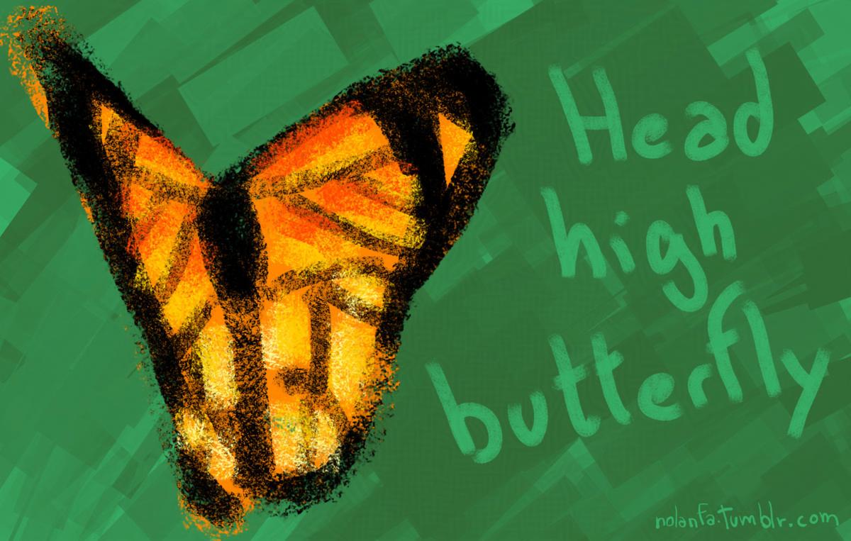 butterfly