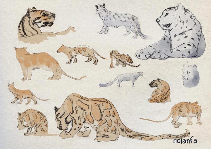 panthers