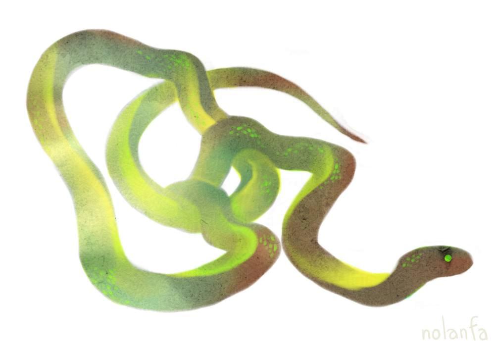 snake green