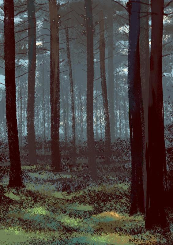 dark forest