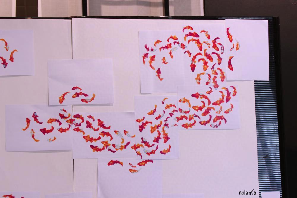wall Fishes