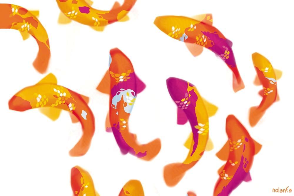 wall Fishes