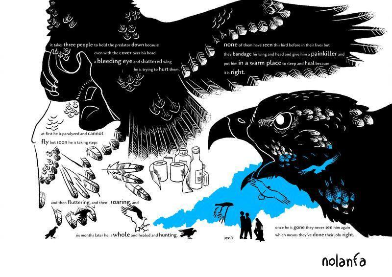 poem illustration: bird