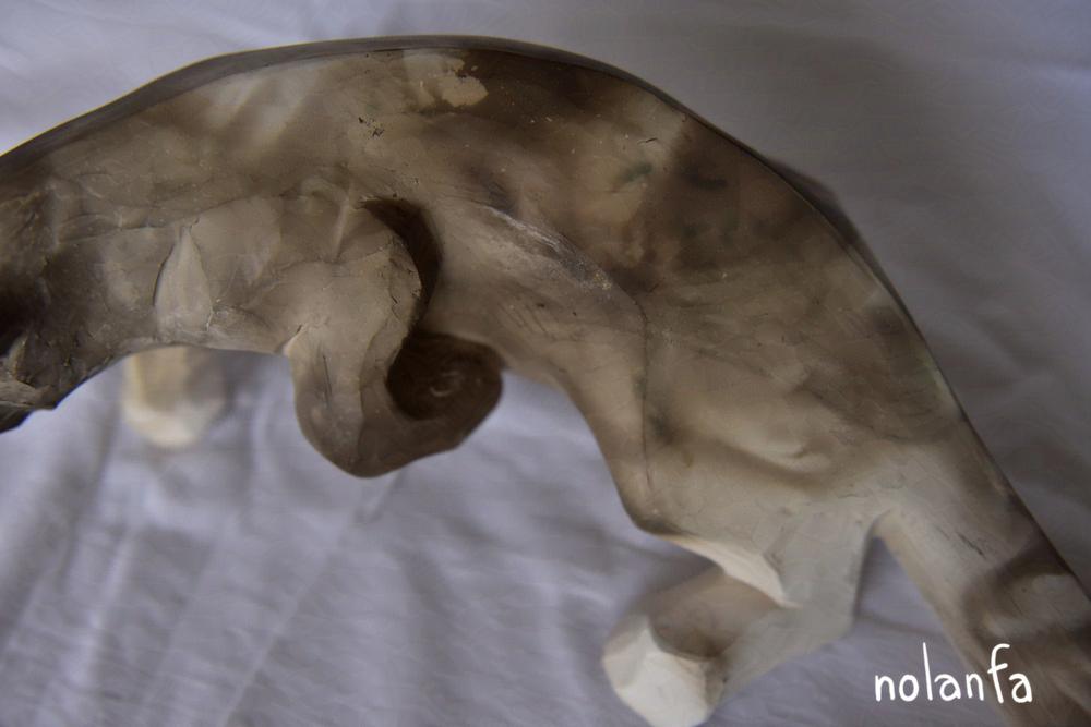 snow leopard B leaping: close-up torso in
