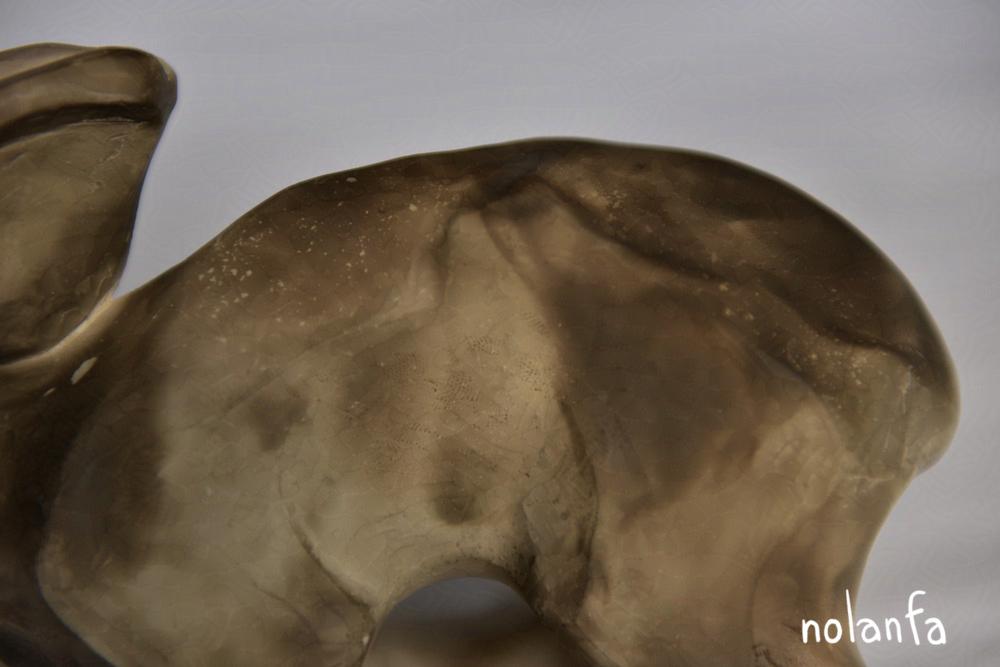hare A running: close-up rump