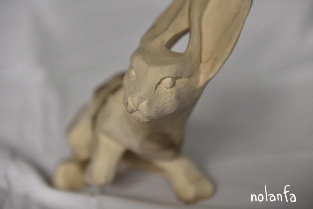 hare B rising: head close-up