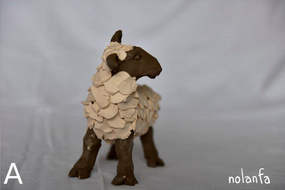 medium sheep