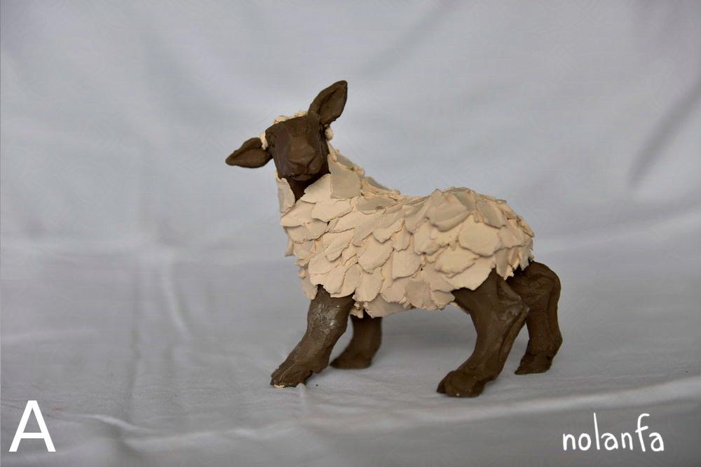 sheep A: body side