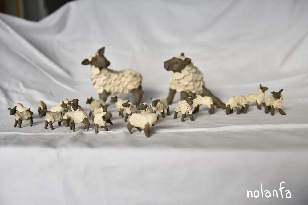 all sheep white on black