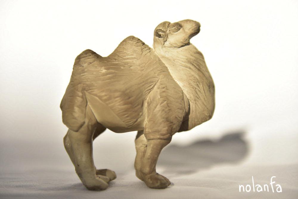 camel: side