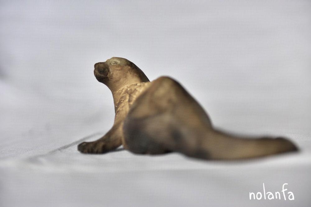 otter: back left