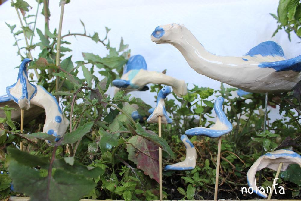 white blue drakes planted