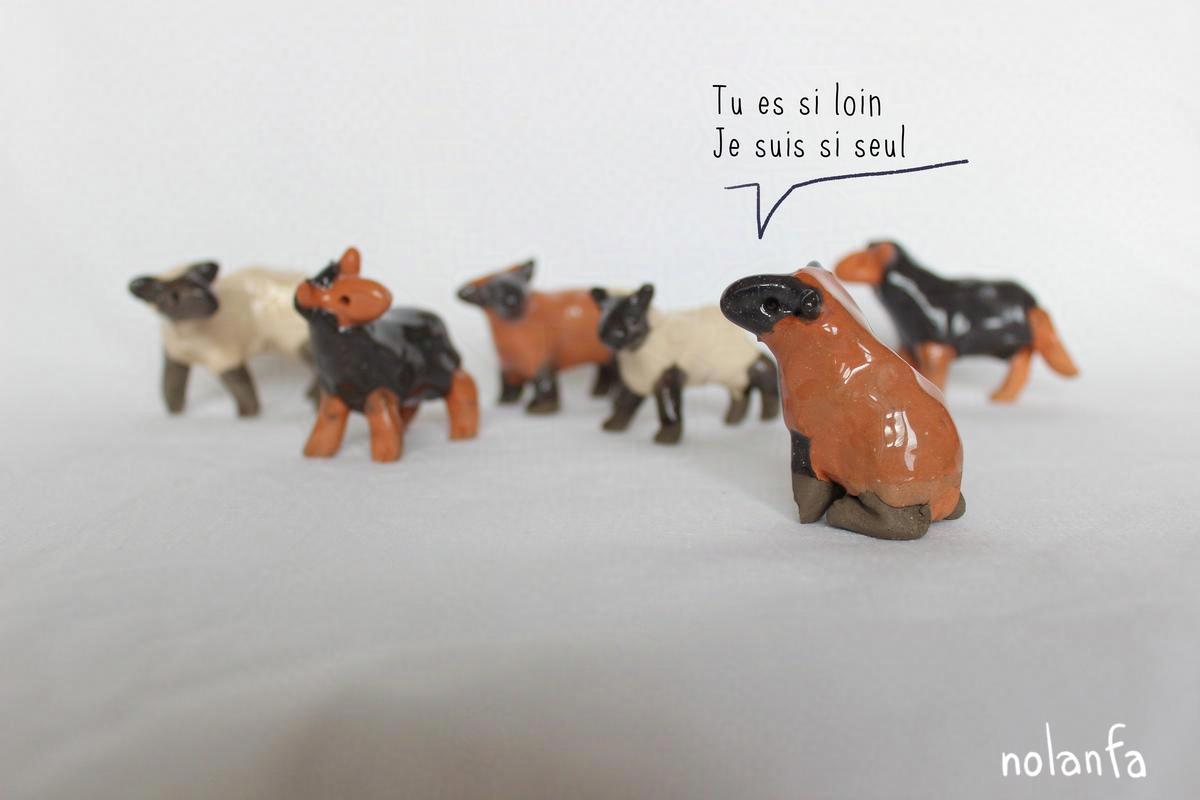 lonely red sheep