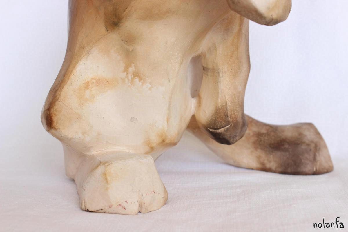 hare C upright: thigh texture close up