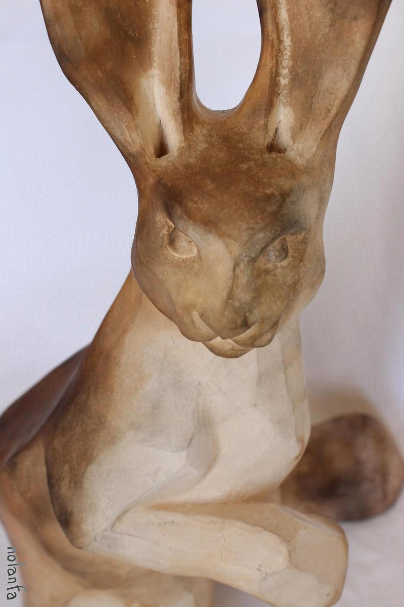 hare C upright: head close up