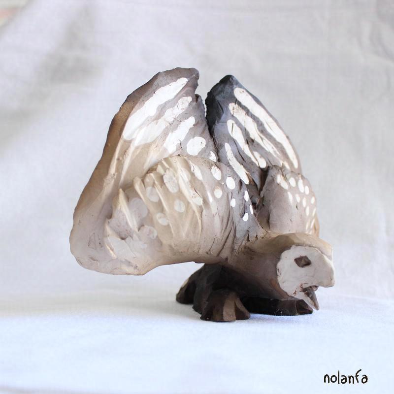 owl
