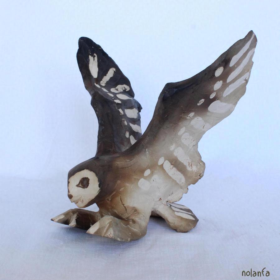 owl