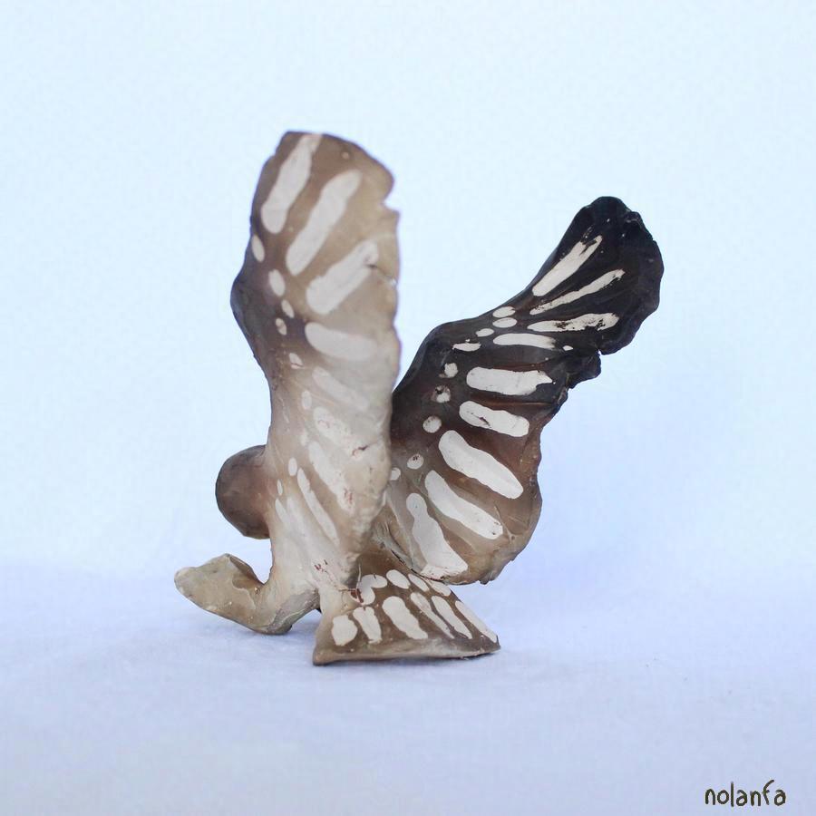 owl