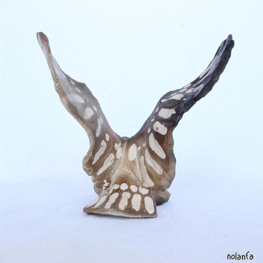small smoked owl